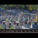 Hier liegen die Gräber deutlich dichter beieinander als weiter im Norden